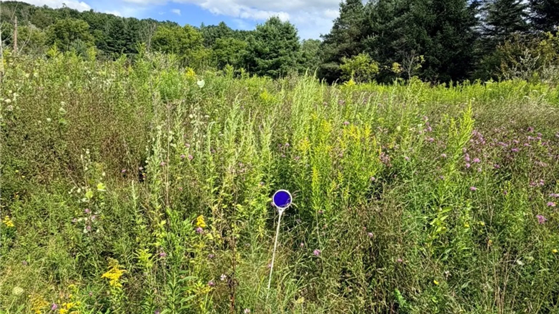 Property at 1928 County Route 102, Woodhull, NY 14898 9