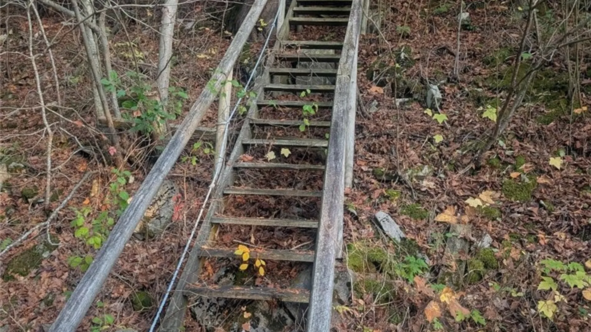 Property at 31083 County Route 179, Clayton, NY 13622 11