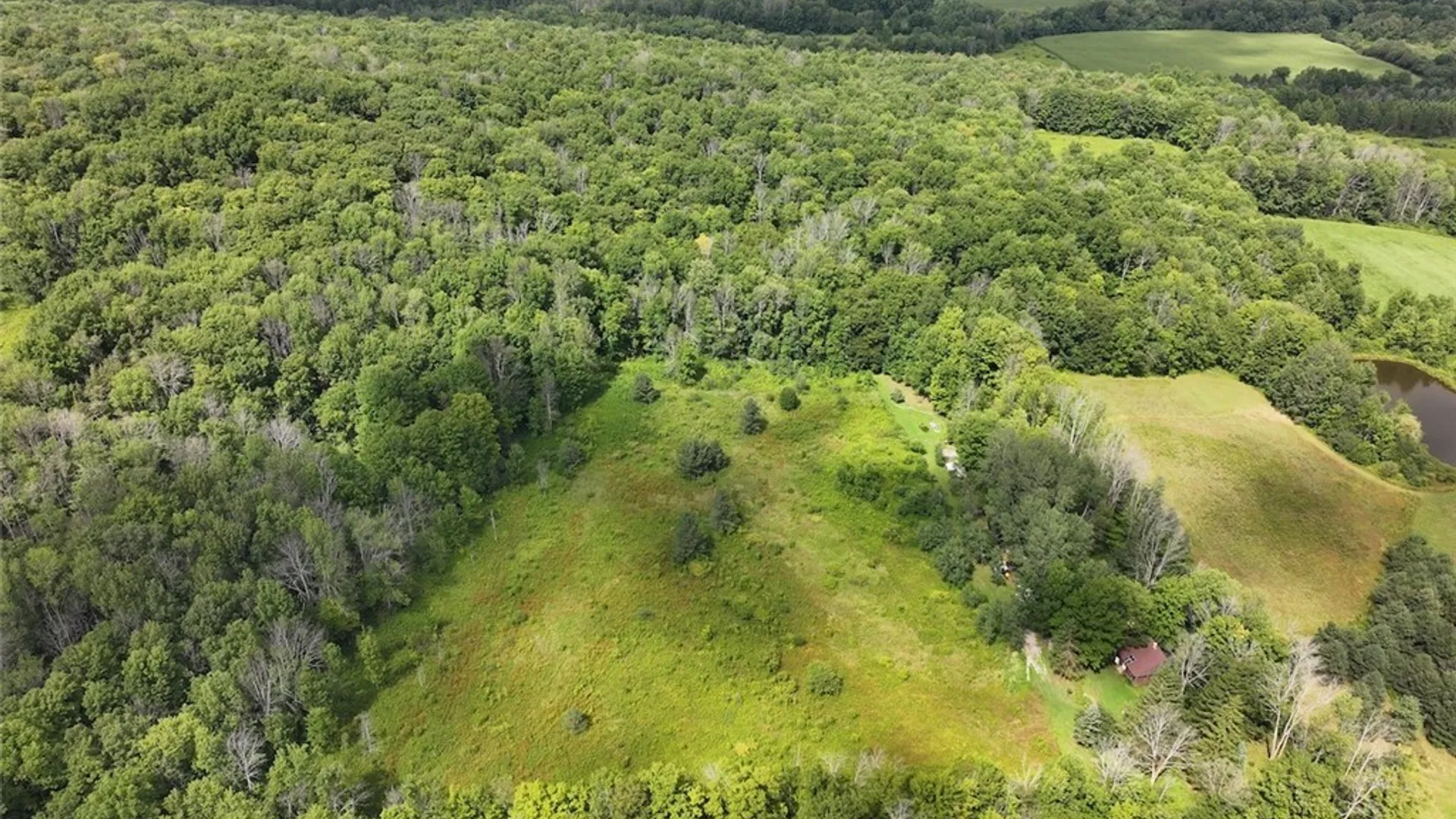 Property at Clark Road, Farmersville, NY 14737 4