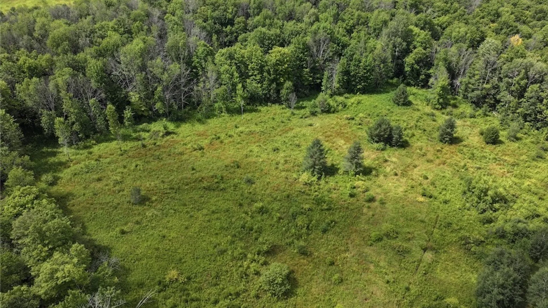 Property at Clark Road, Farmersville, NY 14737 5