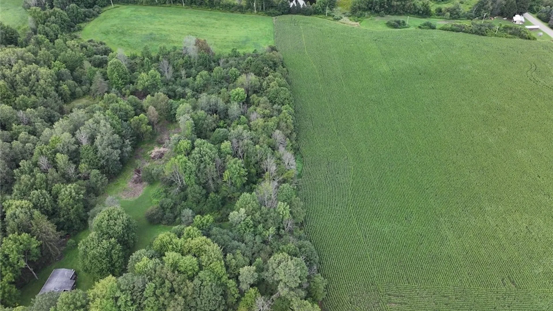Property at Clark Road, Farmersville, NY 14737 11