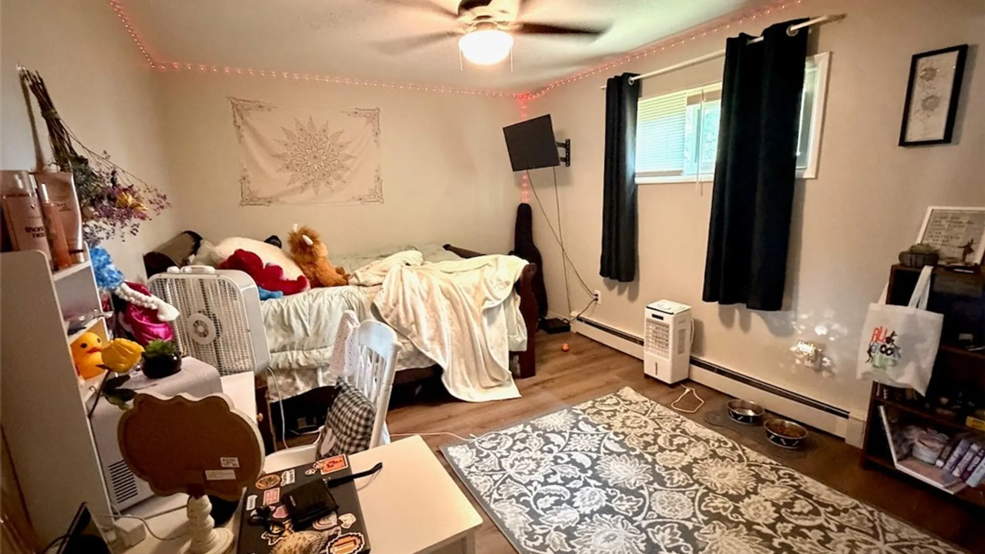Property at 1-3, 2-4, 5-7 Mohawk Terrace, Oswego, NY 13126 10