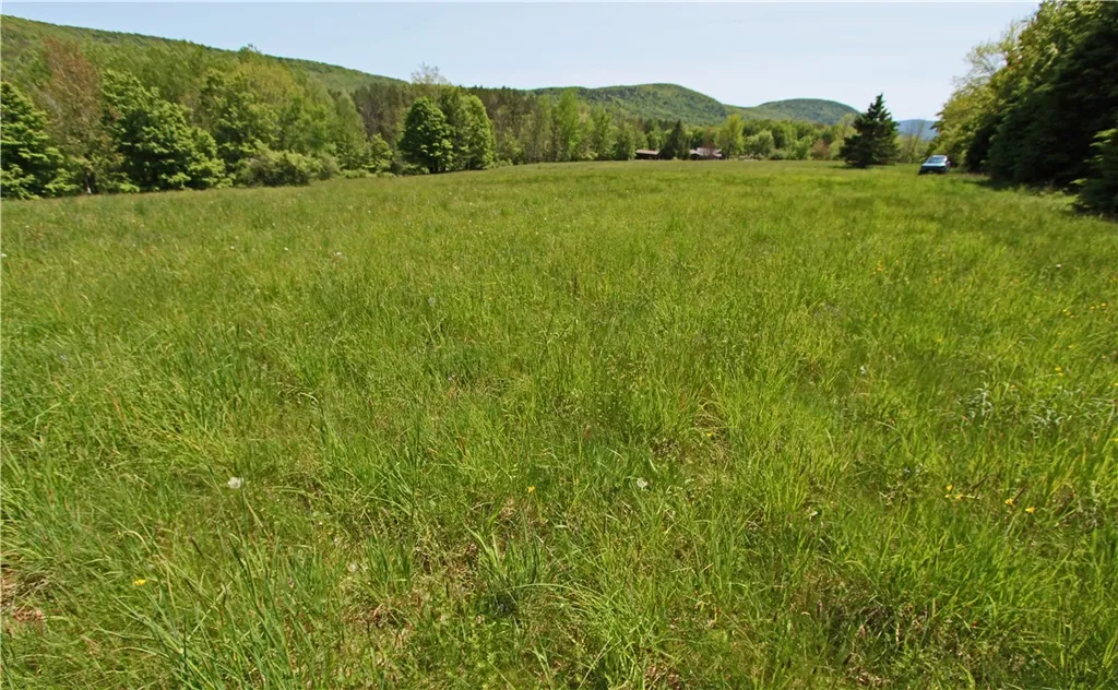 Property at John Shultis Road, Roxbury, NY 12474