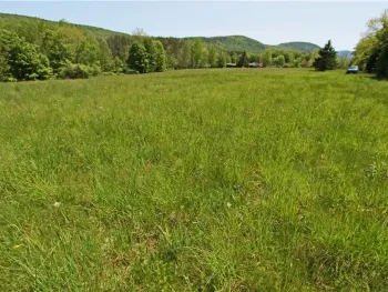 Property at John Shultis Rd, Roxbury, NY 12474
