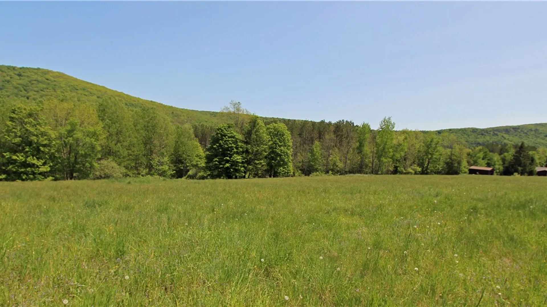 Property at John Shultis Road, Roxbury, NY 12474 3