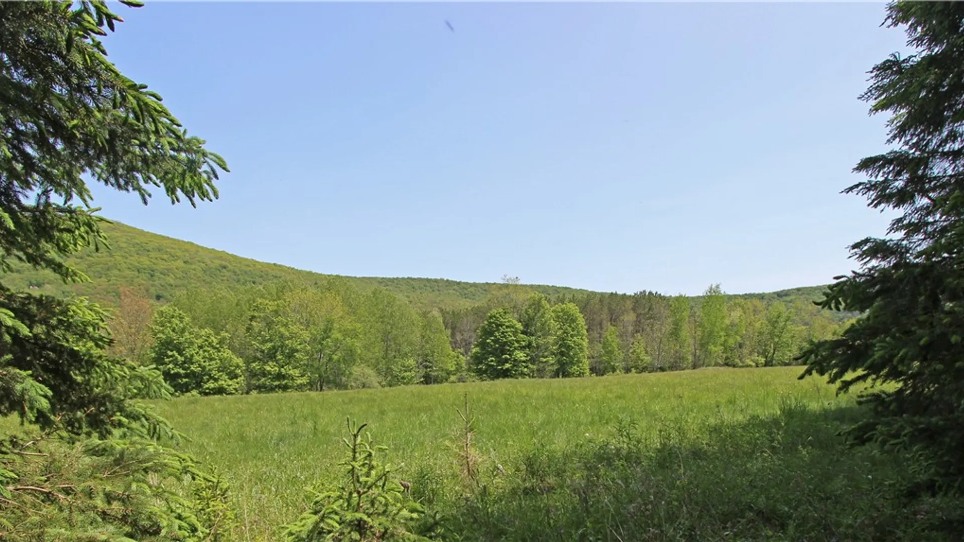 Property at John Shultis Road, Roxbury, NY 12474 7