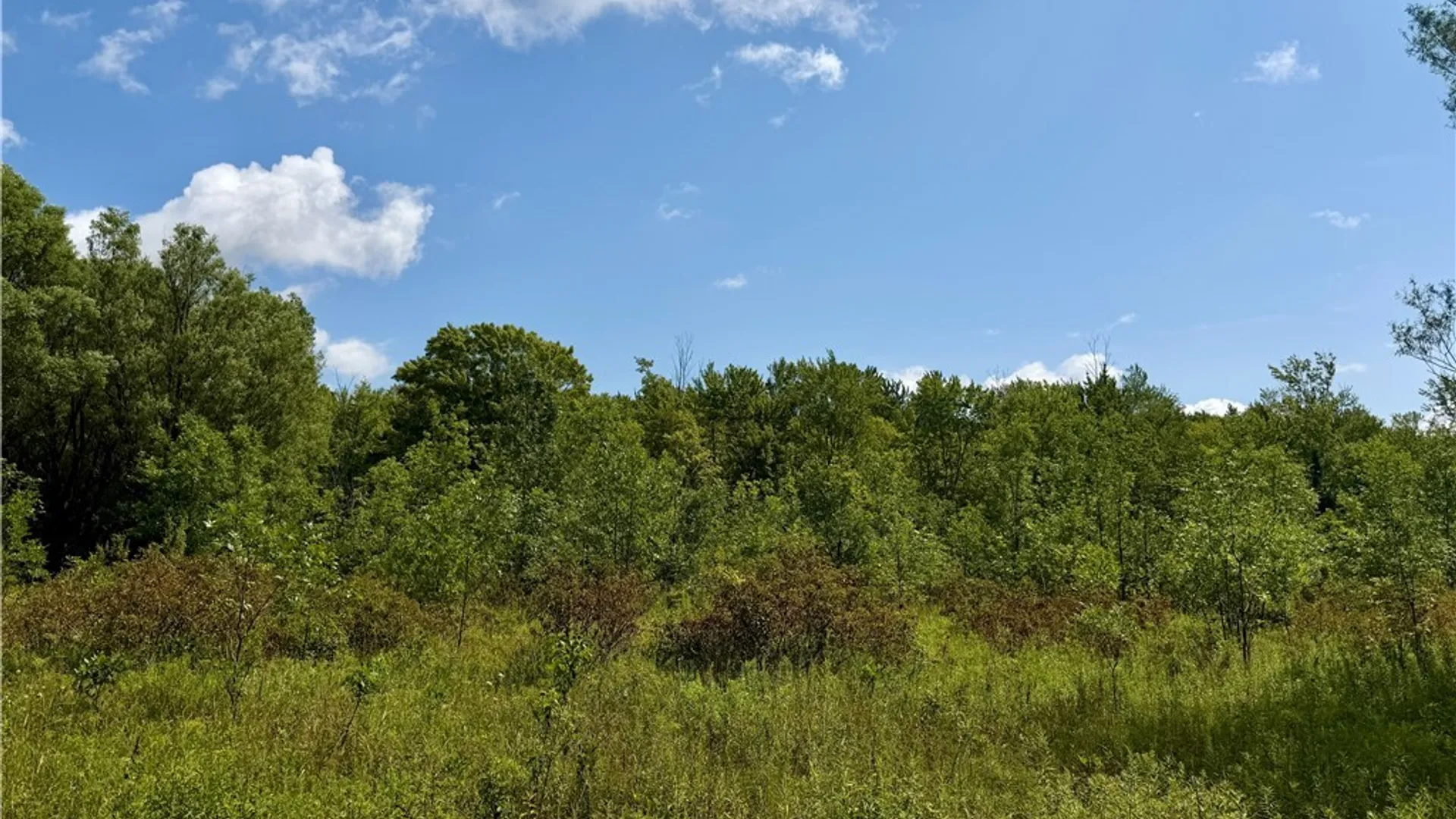 Property at 9259 Carpenter Road, Eden, NY 14057 3