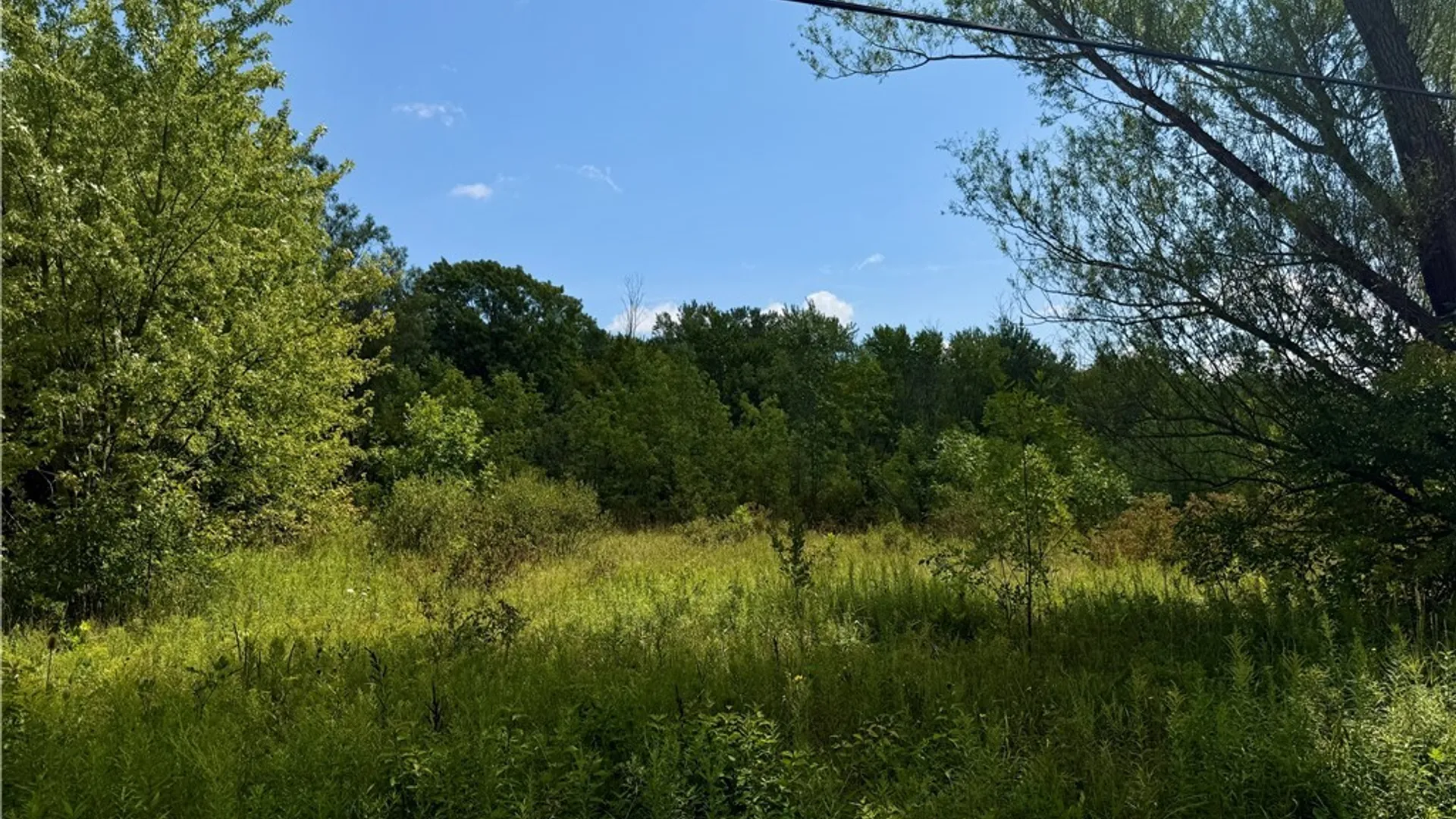 Property at 9259 Carpenter Road, Eden, NY 14057 4