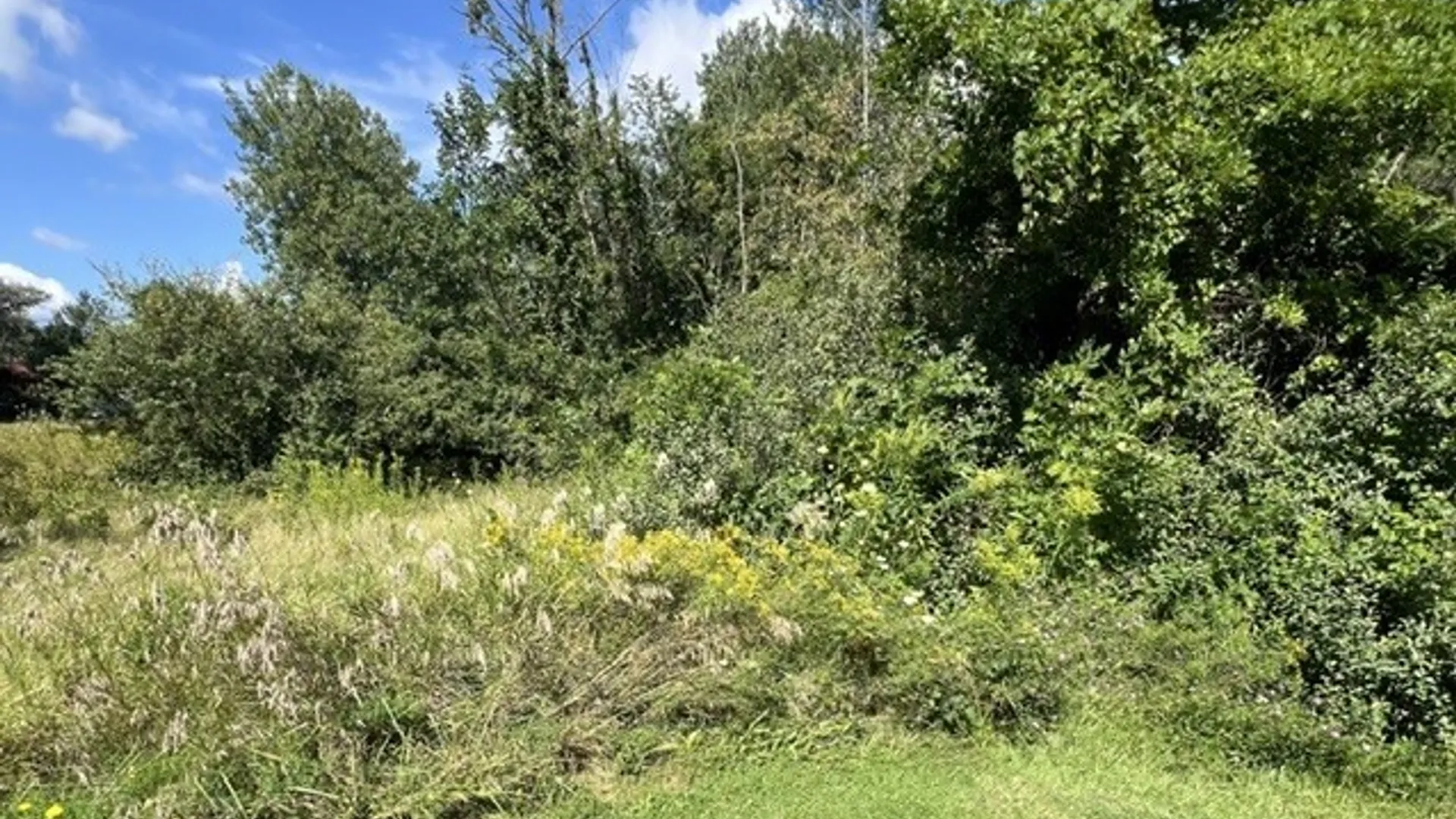 Property at 3297 Canandaigua Road, Walworth, NY 14502 4