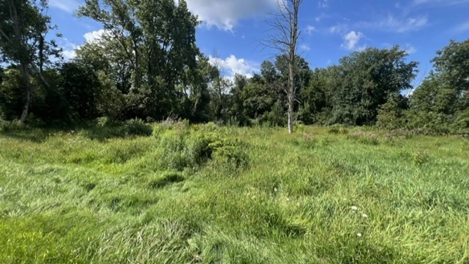 Property at 3297 Canandaigua Road, Walworth, NY 14502 14