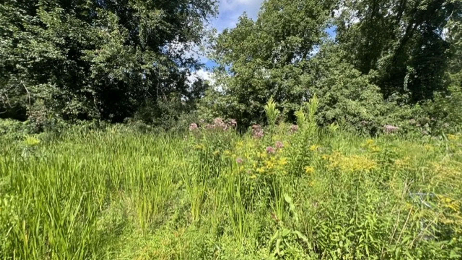 Property at 3297 Canandaigua Road, Walworth, NY 14502 24