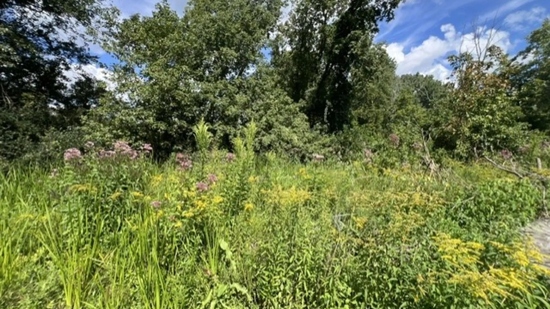 Property at 3297 Canandaigua Road, Walworth, NY 14502 25