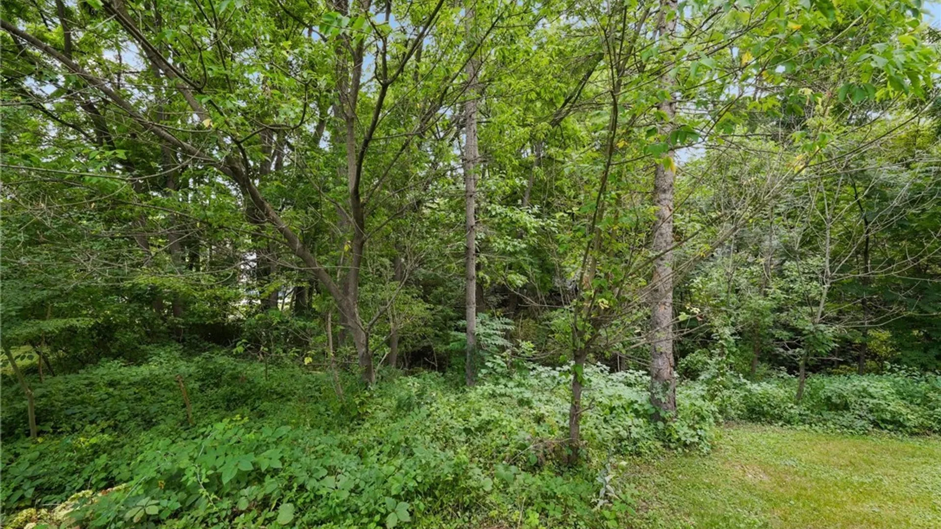 Property at 21 Elderkin Avenue, Camillus, NY 13031 41