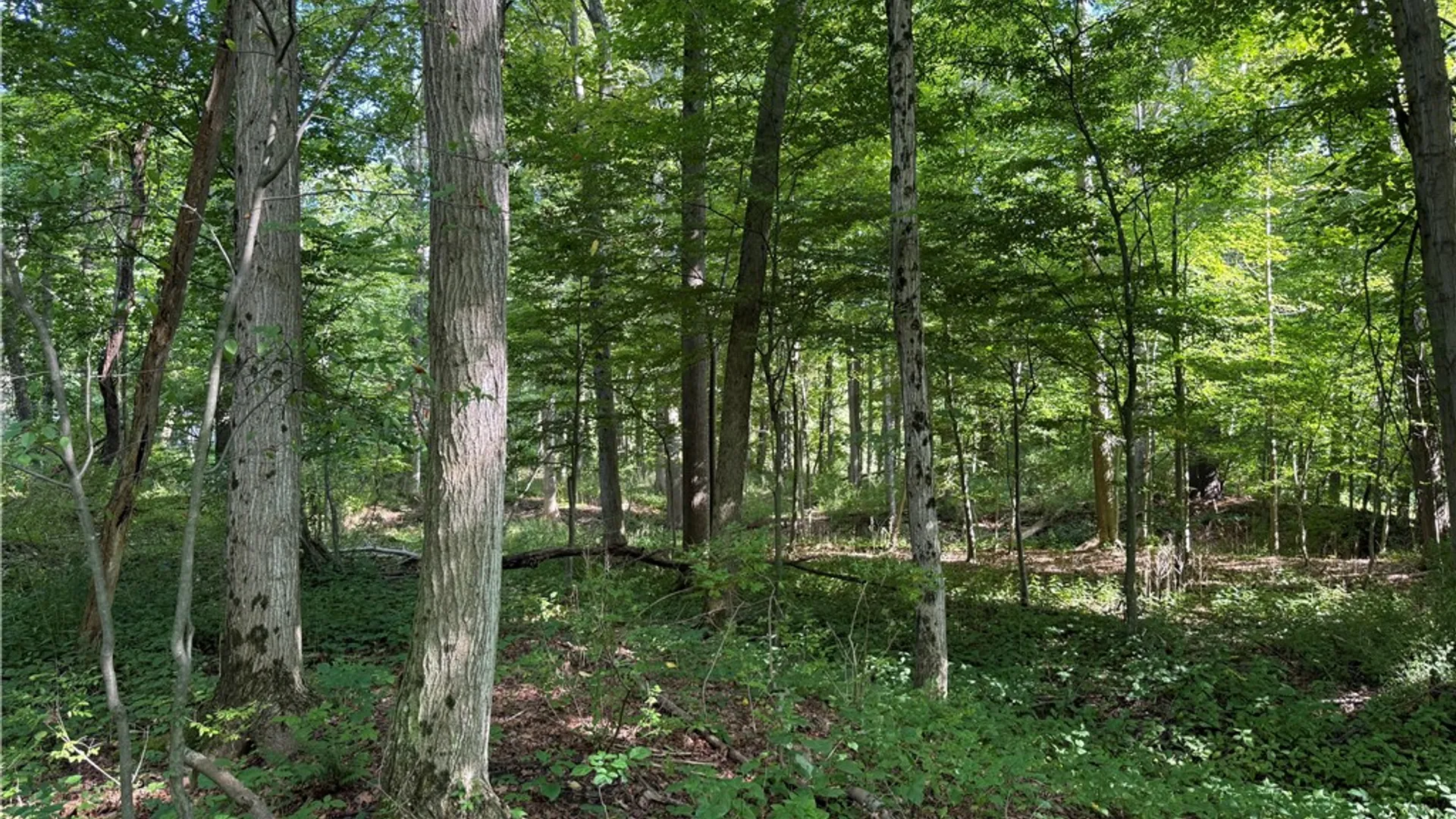 Property at 402 Brooktondale Road, Caroline, NY 14817 7