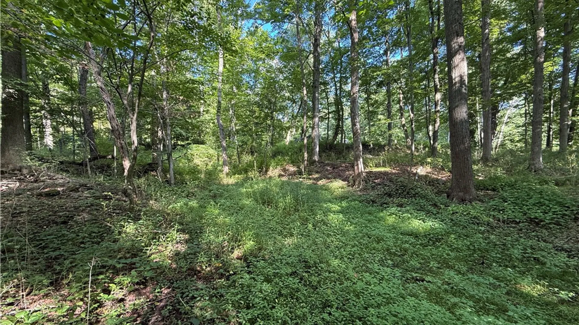 Property at 402 Brooktondale Road, Caroline, NY 14817 9