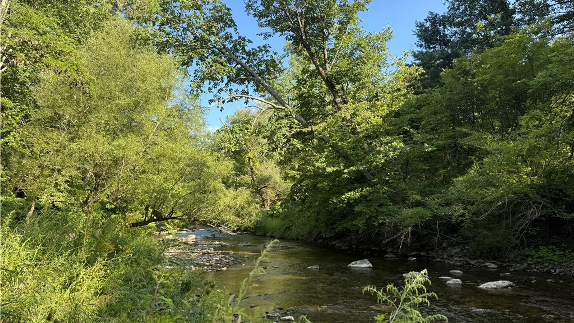 Property at 402 Brooktondale Road, Caroline, NY 14817 13