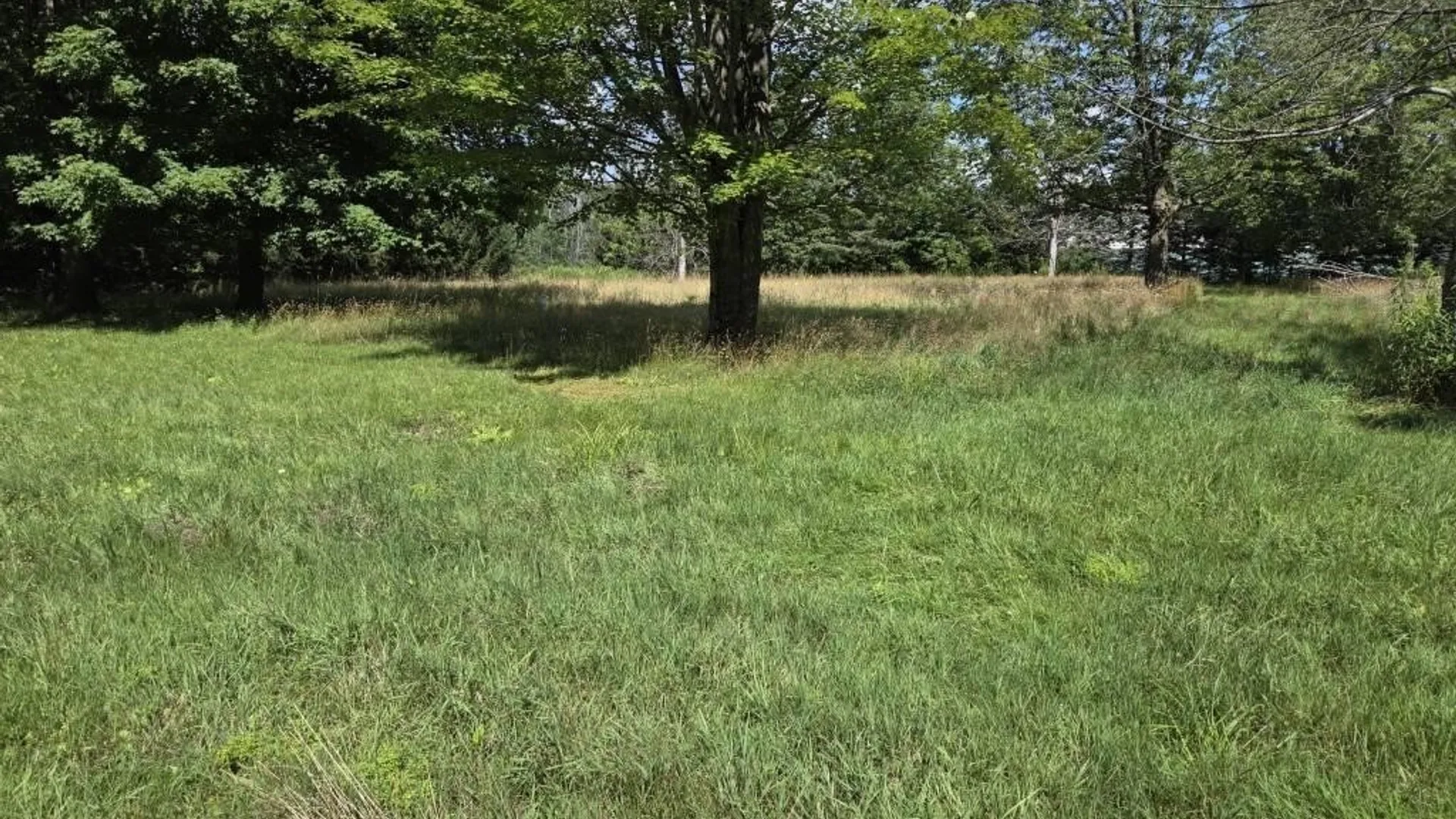 Property at 3190 Smallwood Road, Warsaw, NY 14569 22