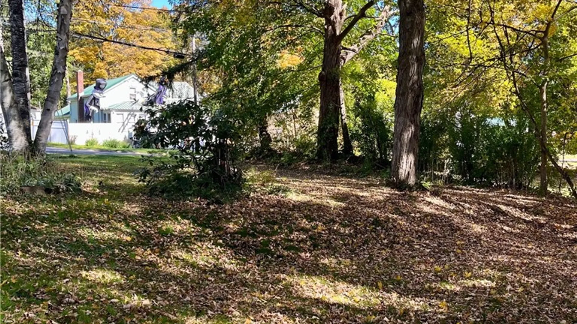 Property at 25 State Street, Oxford, NY 13830 20