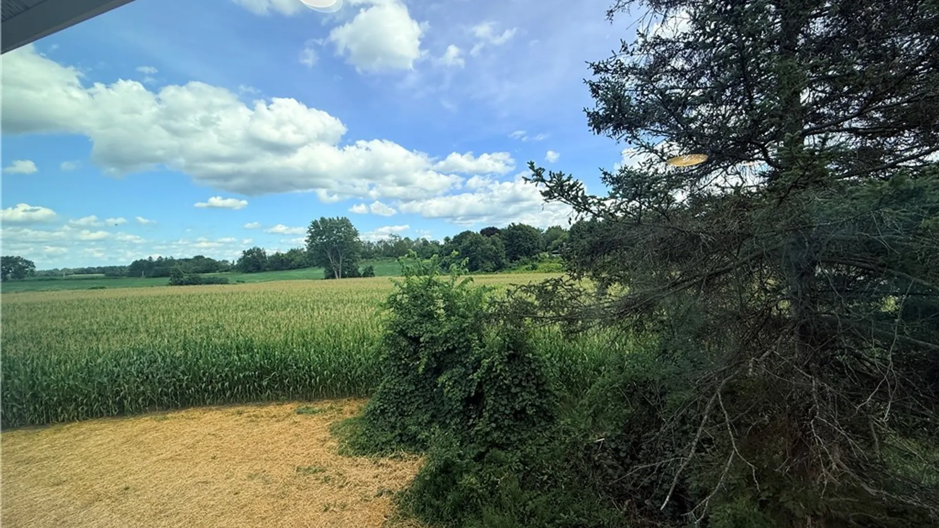 Property at 5173 Ellicott Street Road, Batavia, NY 14020 28