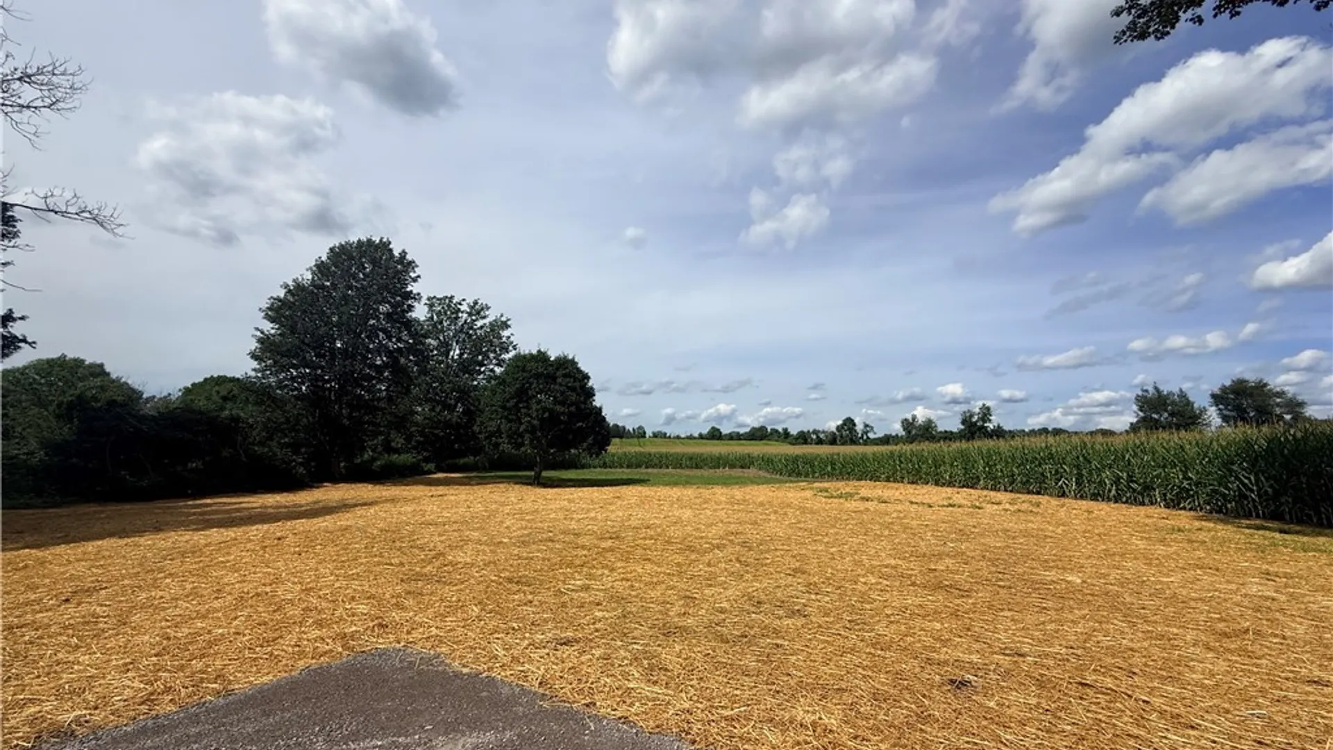 Property at 5173 Ellicott Street Road, Batavia, NY 14020 23
