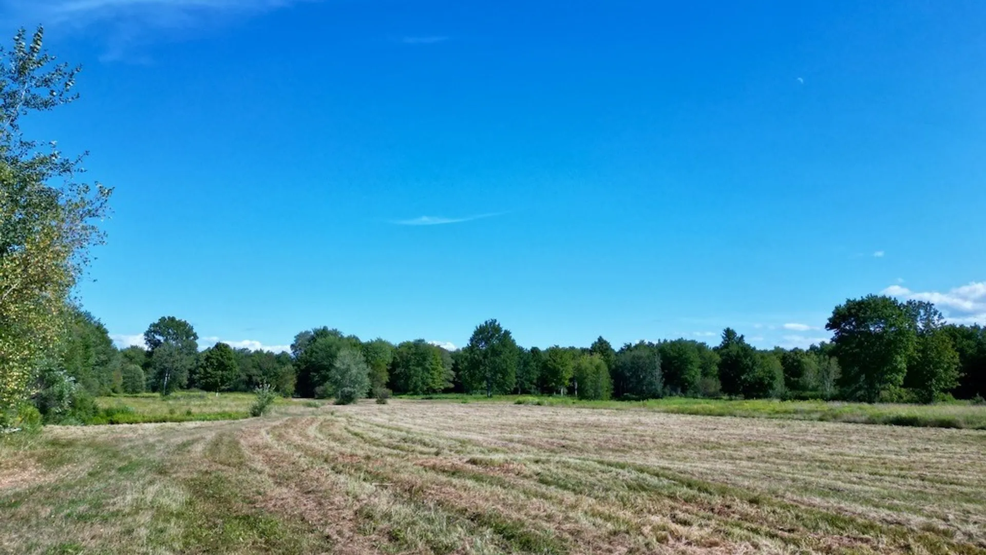 Property at 0 Albion Cross Road, Albion, NY 13142 3