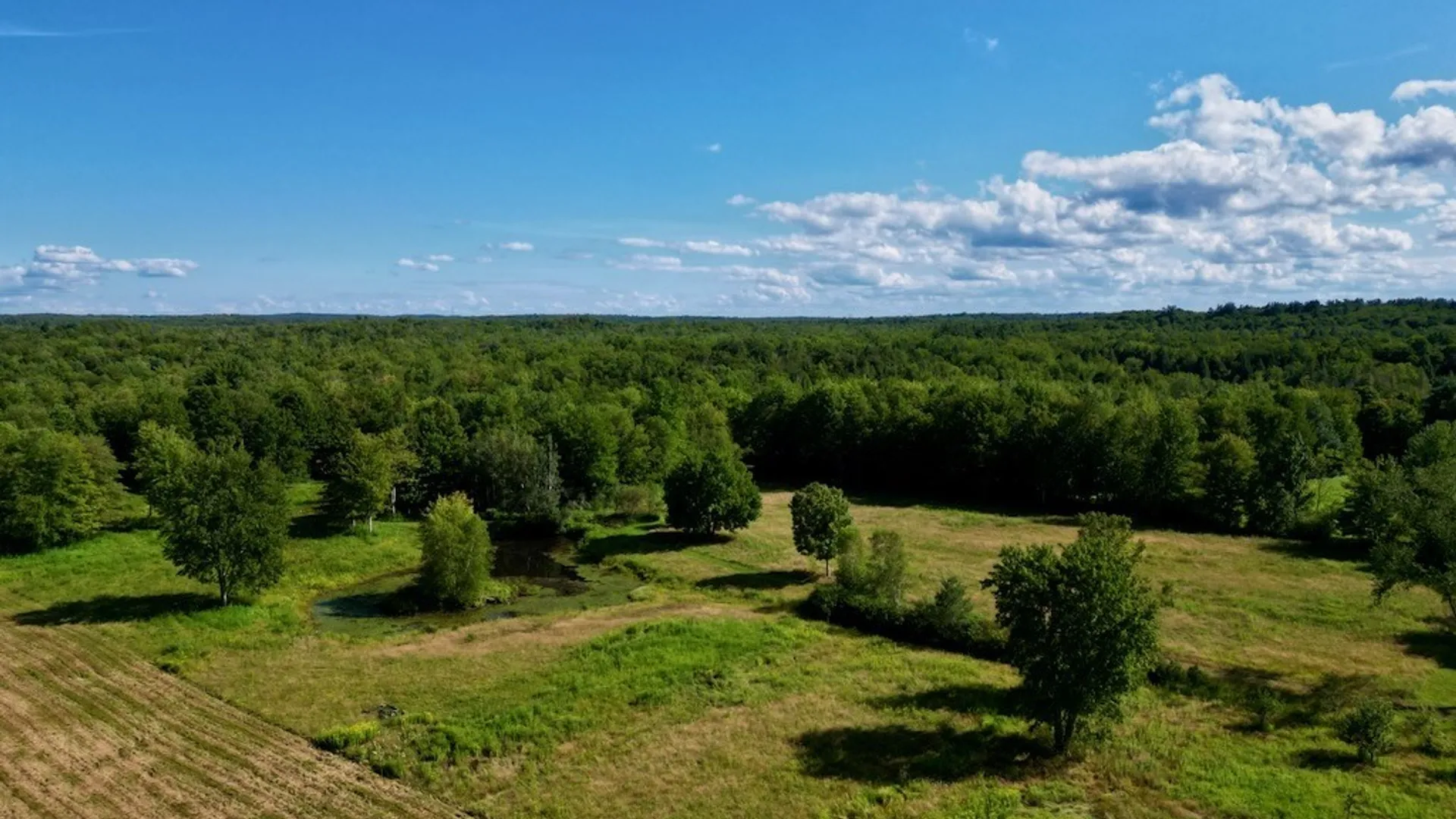 Property at 0 Albion Cross Road, Albion, NY 13142 4