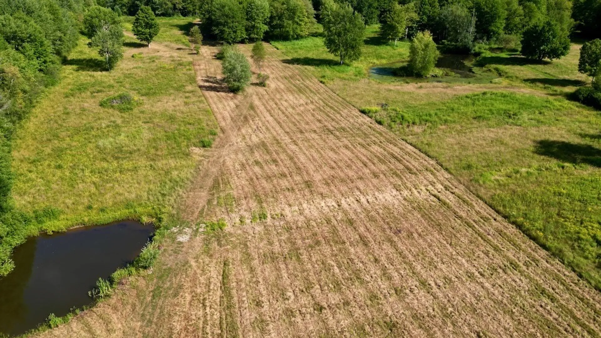 Property at 0 Albion Cross Road, Albion, NY 13142 5
