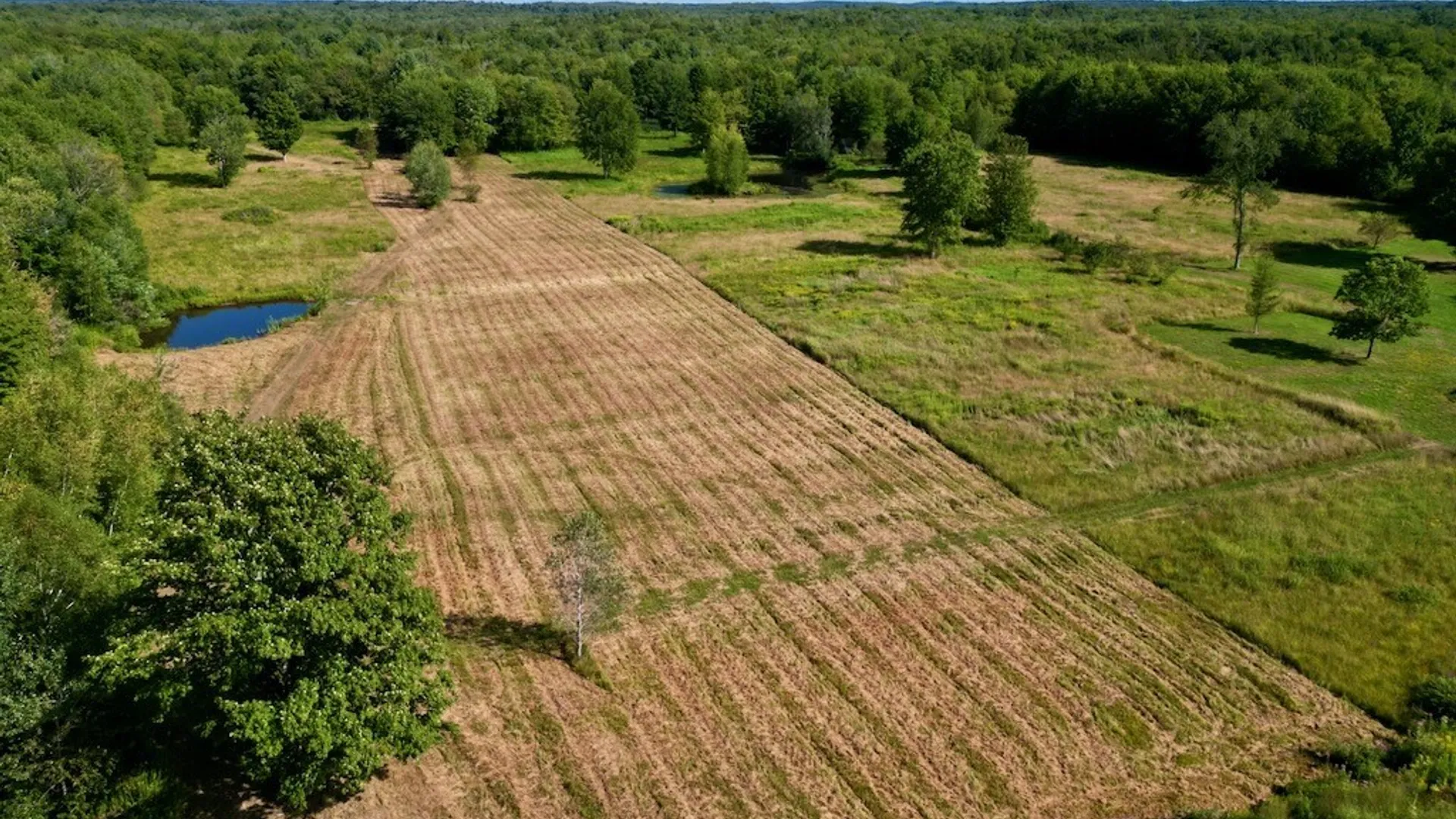 Property at 0 Albion Cross Road, Albion, NY 13142 7