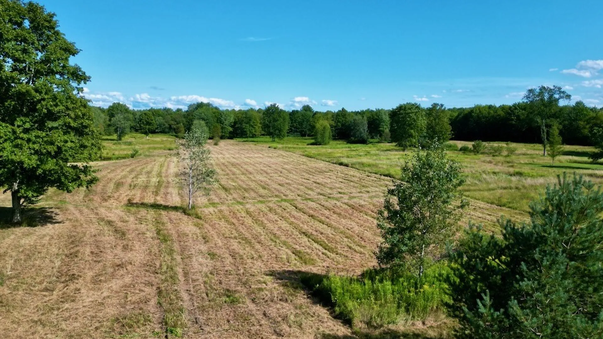 Property at 0 Albion Cross Road, Albion, NY 13142 8