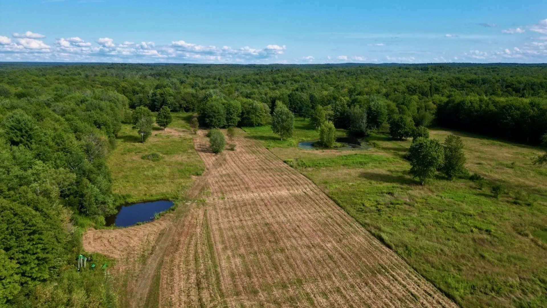 Property at 0 Albion Cross Road, Albion, NY 13142 9