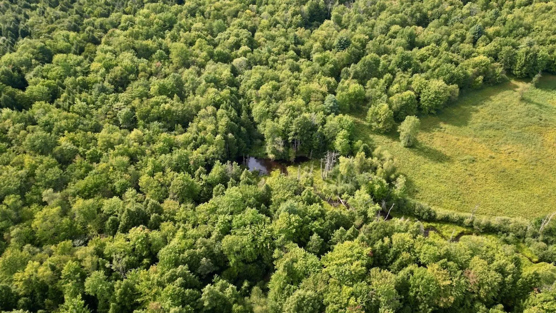 Property at 0 Albion Cross Road, Albion, NY 13142 13