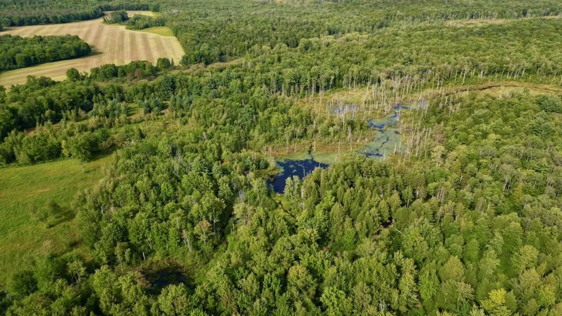 Property at 0 Albion Cross Road, Albion, NY 13142 15