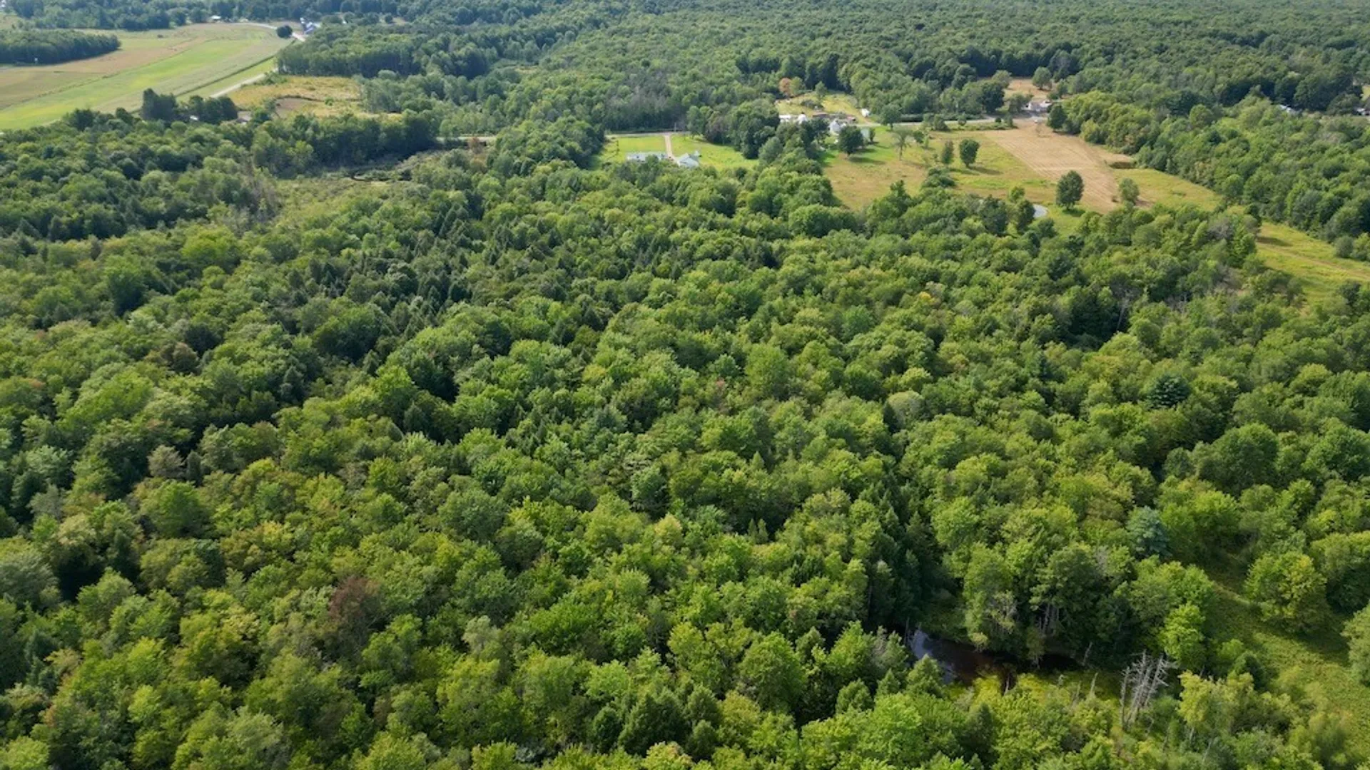 Property at 0 Albion Cross Road, Albion, NY 13142 16