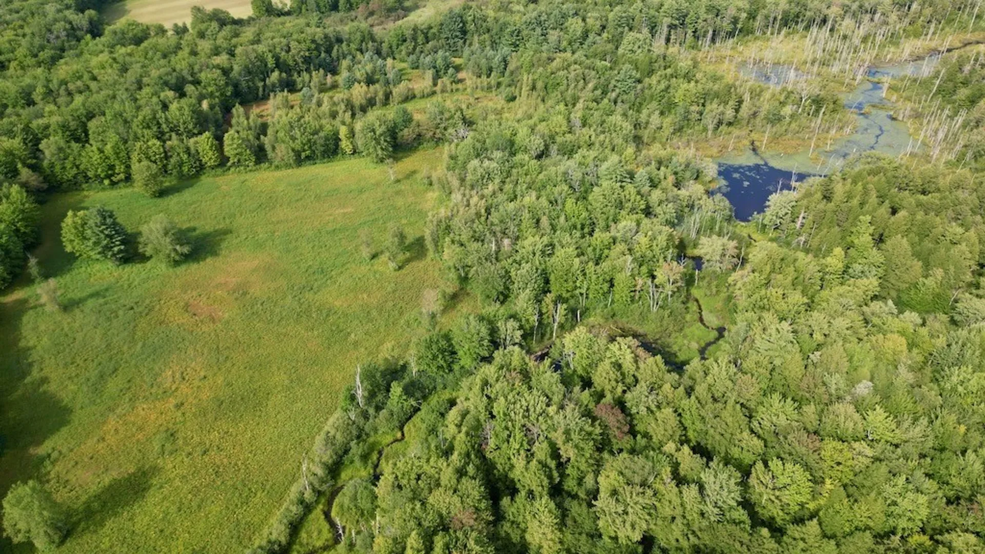 Property at 0 Albion Cross Road, Albion, NY 13142 17