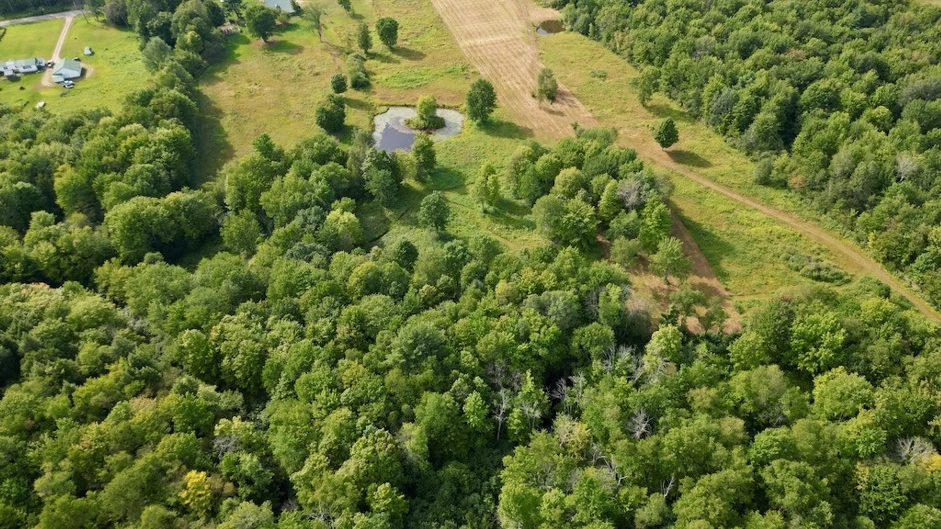 Property at 0 Albion Cross Road, Albion, NY 13142 20