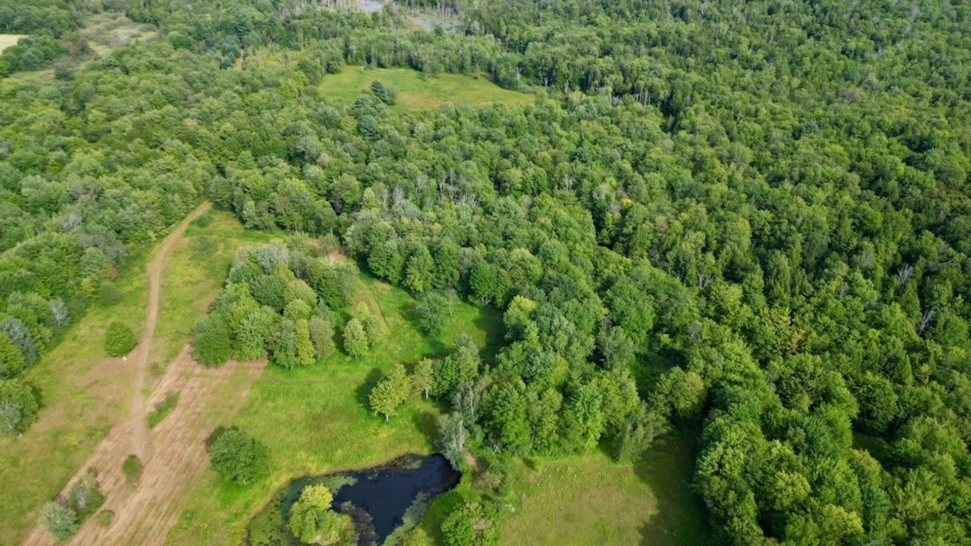 Property at 0 Albion Cross Road, Albion, NY 13142 23