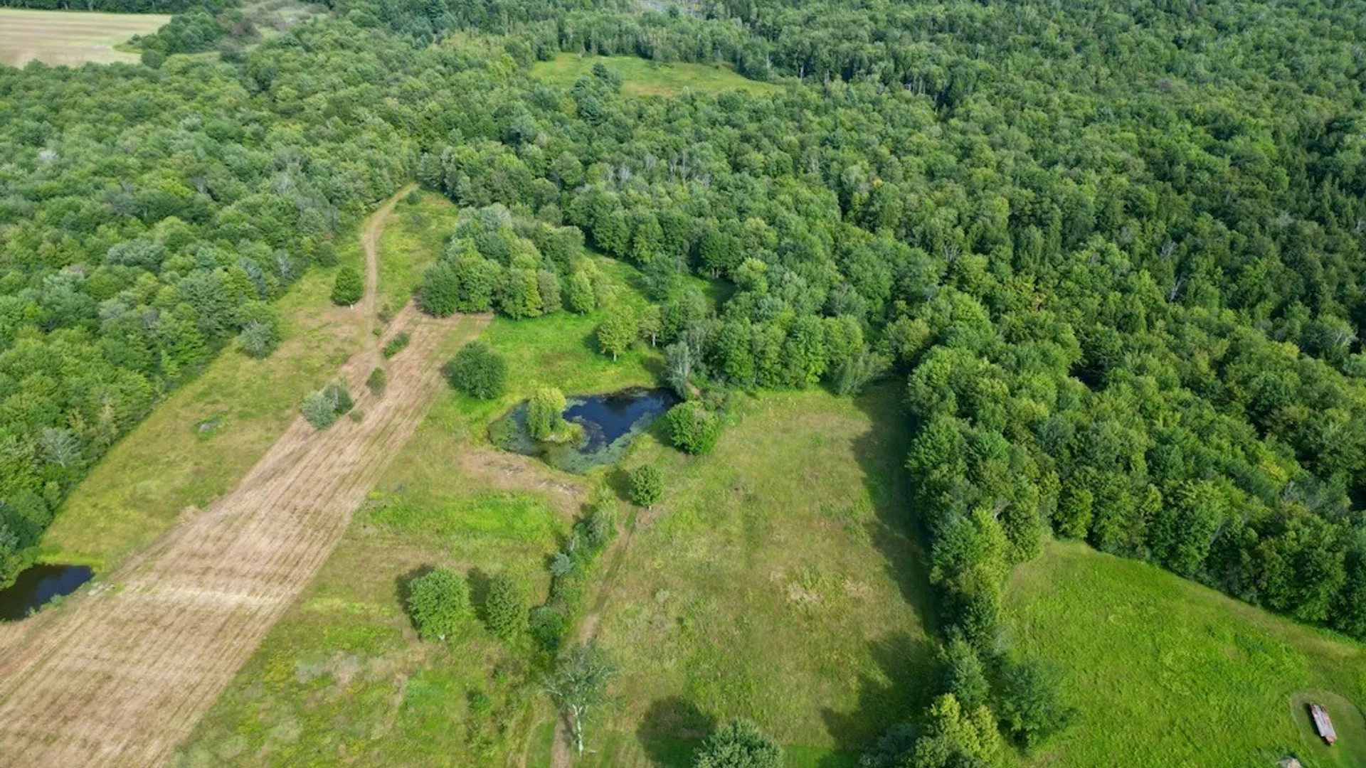 Property at 0 Albion Cross Road, Albion, NY 13142 25