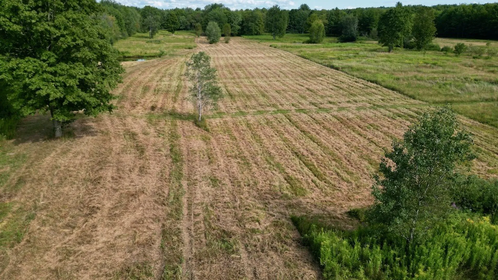 Property at 0 Albion Cross Road, Albion, NY 13142 29