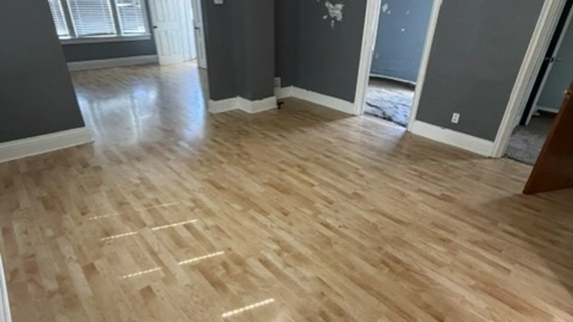 Property at 665 S. Ogden St. Street, Buffalo, NY 14206 3