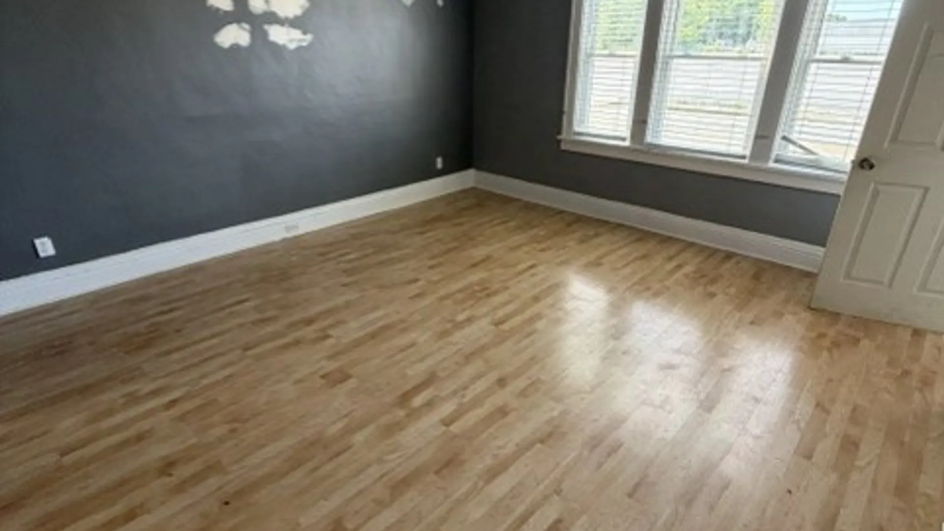 Property at 665 S. Ogden St. Street, Buffalo, NY 14206 6