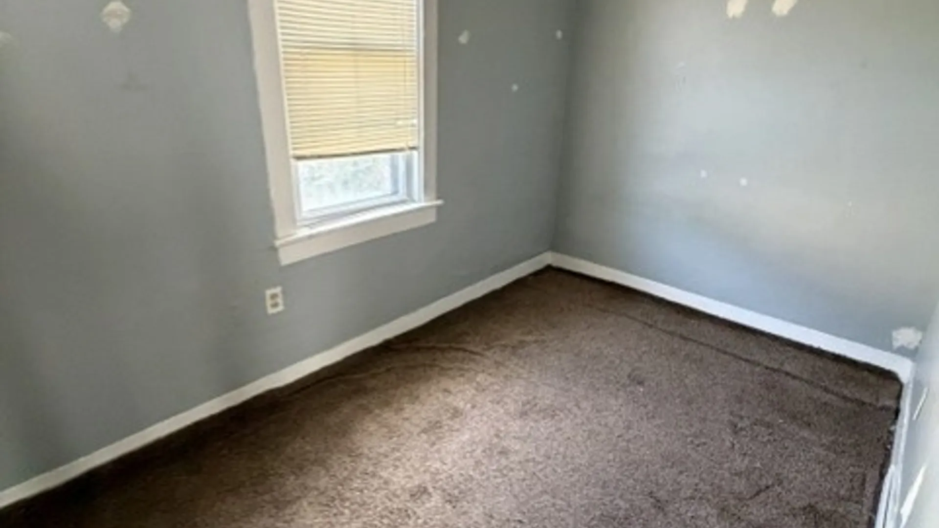Property at 665 S. Ogden St. Street, Buffalo, NY 14206 10