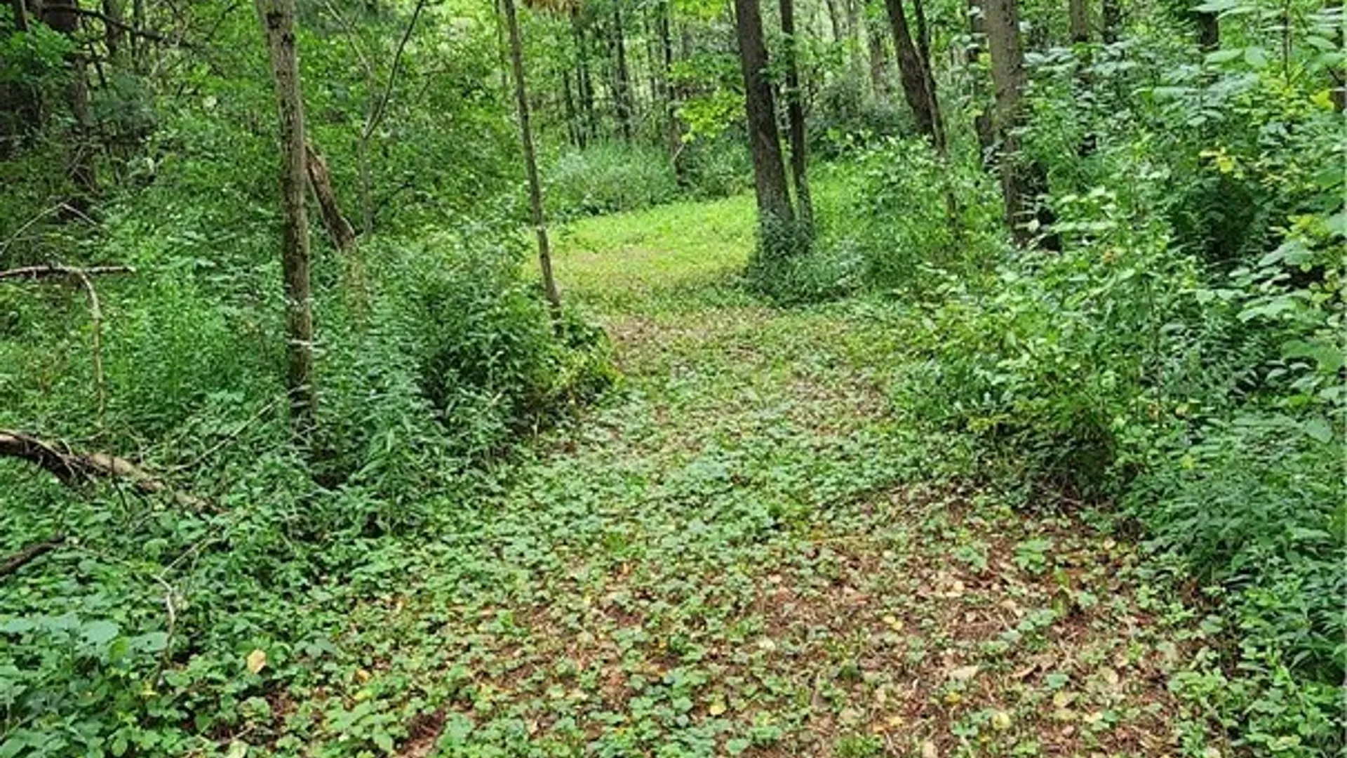 Property at 5191 Pleasant Valley Road, Smithfield, NY 13408 12