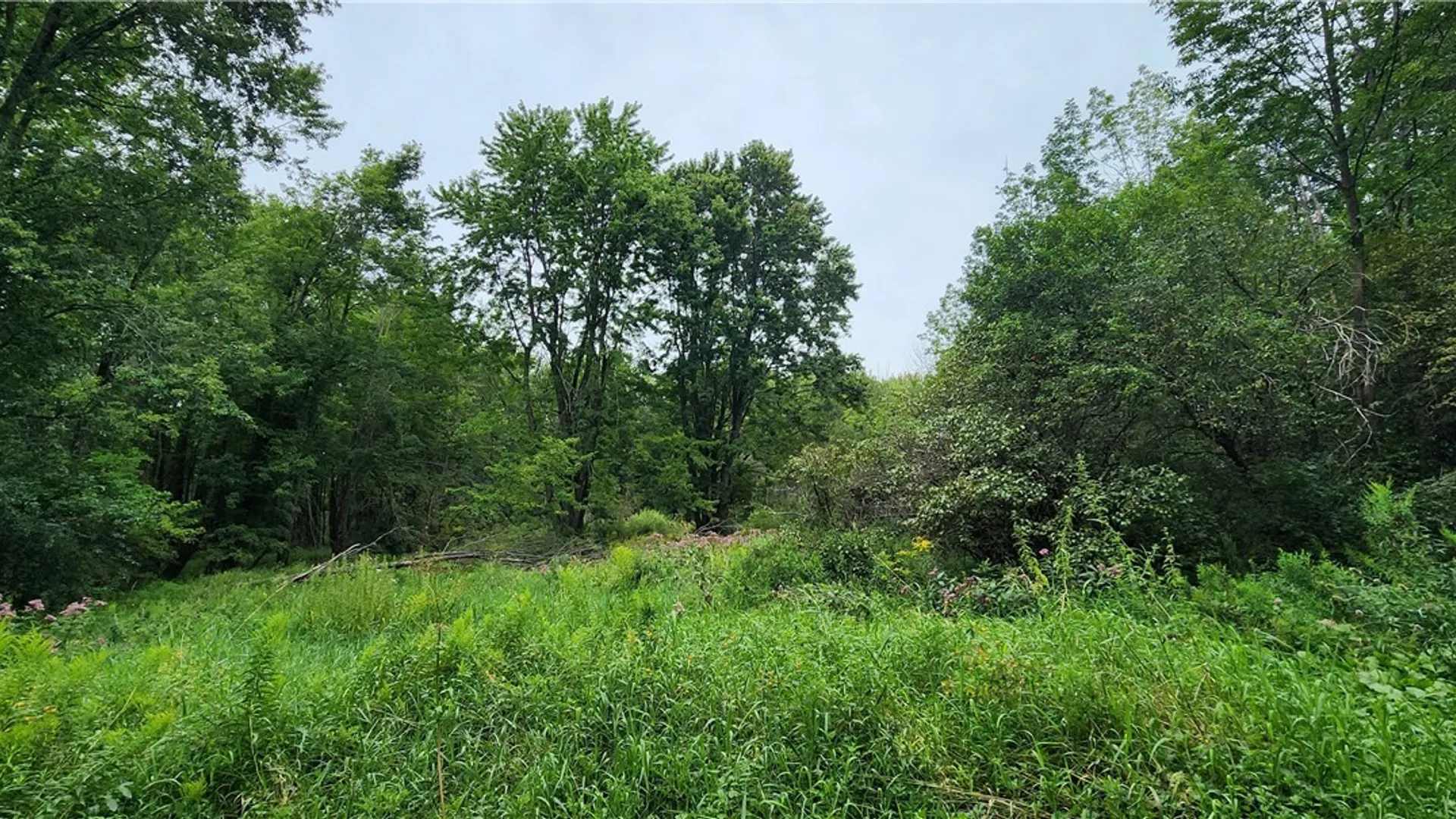 Property at 5191 Pleasant Valley Road, Smithfield, NY 13408 10