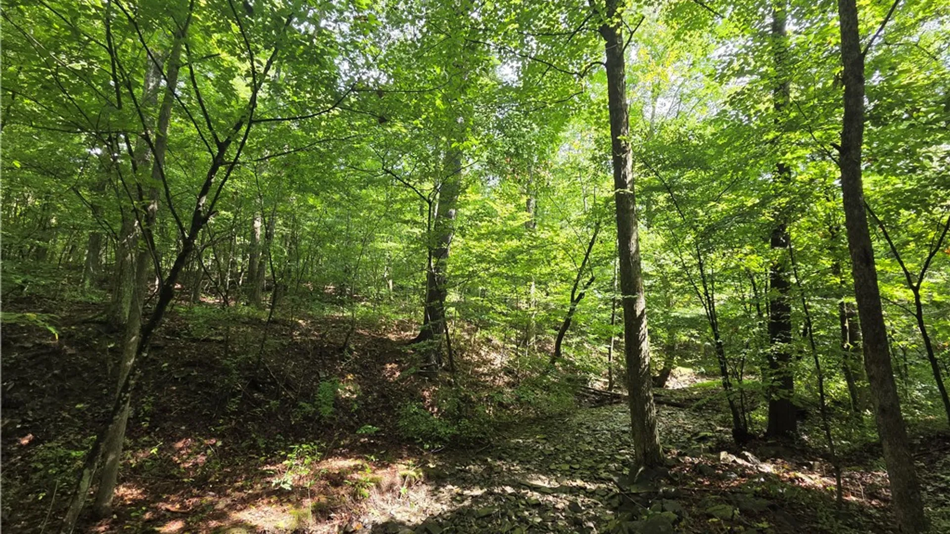Property at Bunnell Road, Barton, NY 14892 18