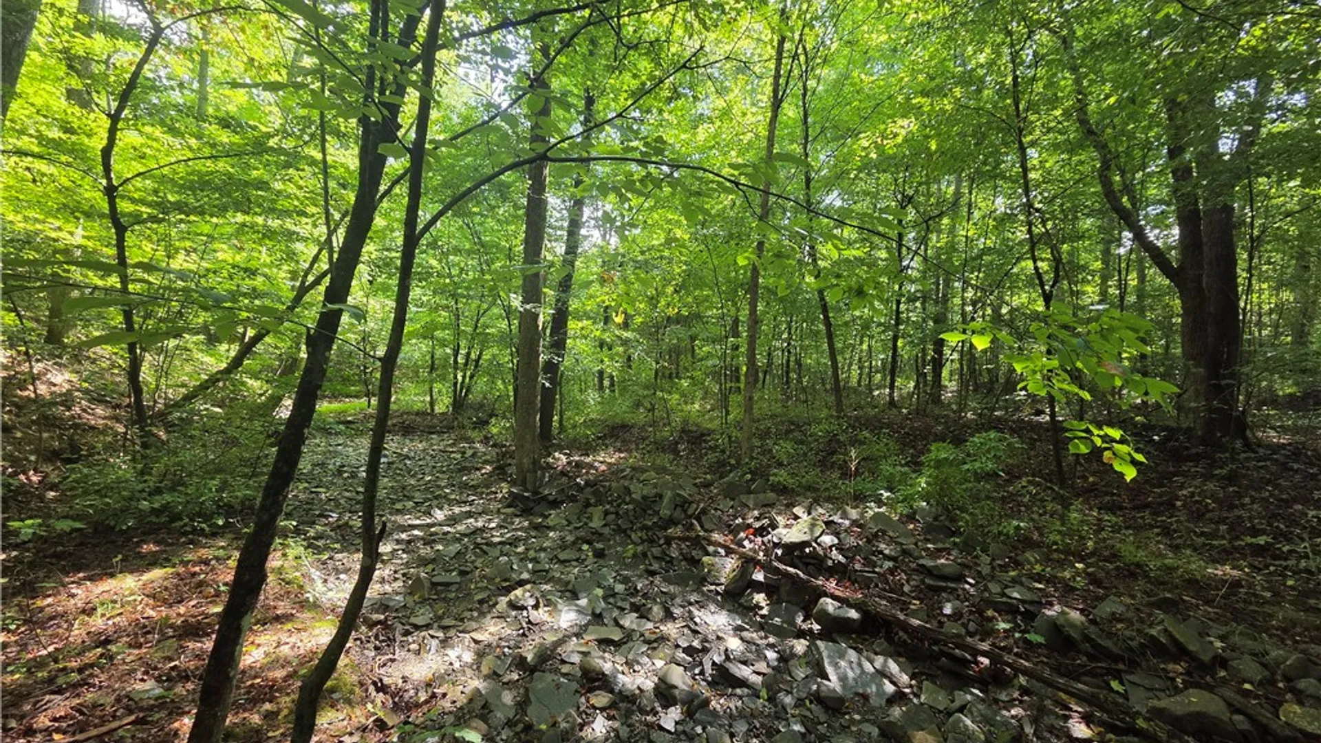 Property at Bunnell Road, Barton, NY 14892 19