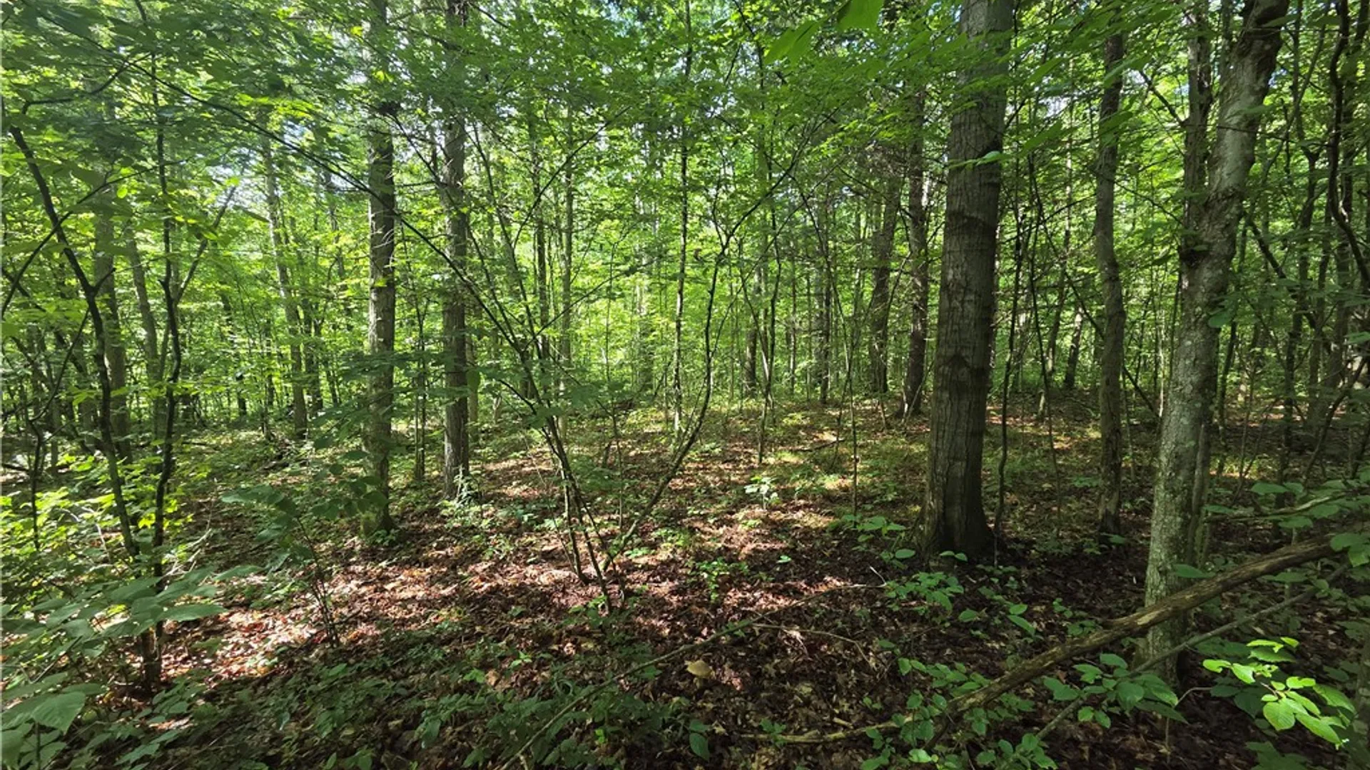 Property at Bunnell Road, Barton, NY 14892 23