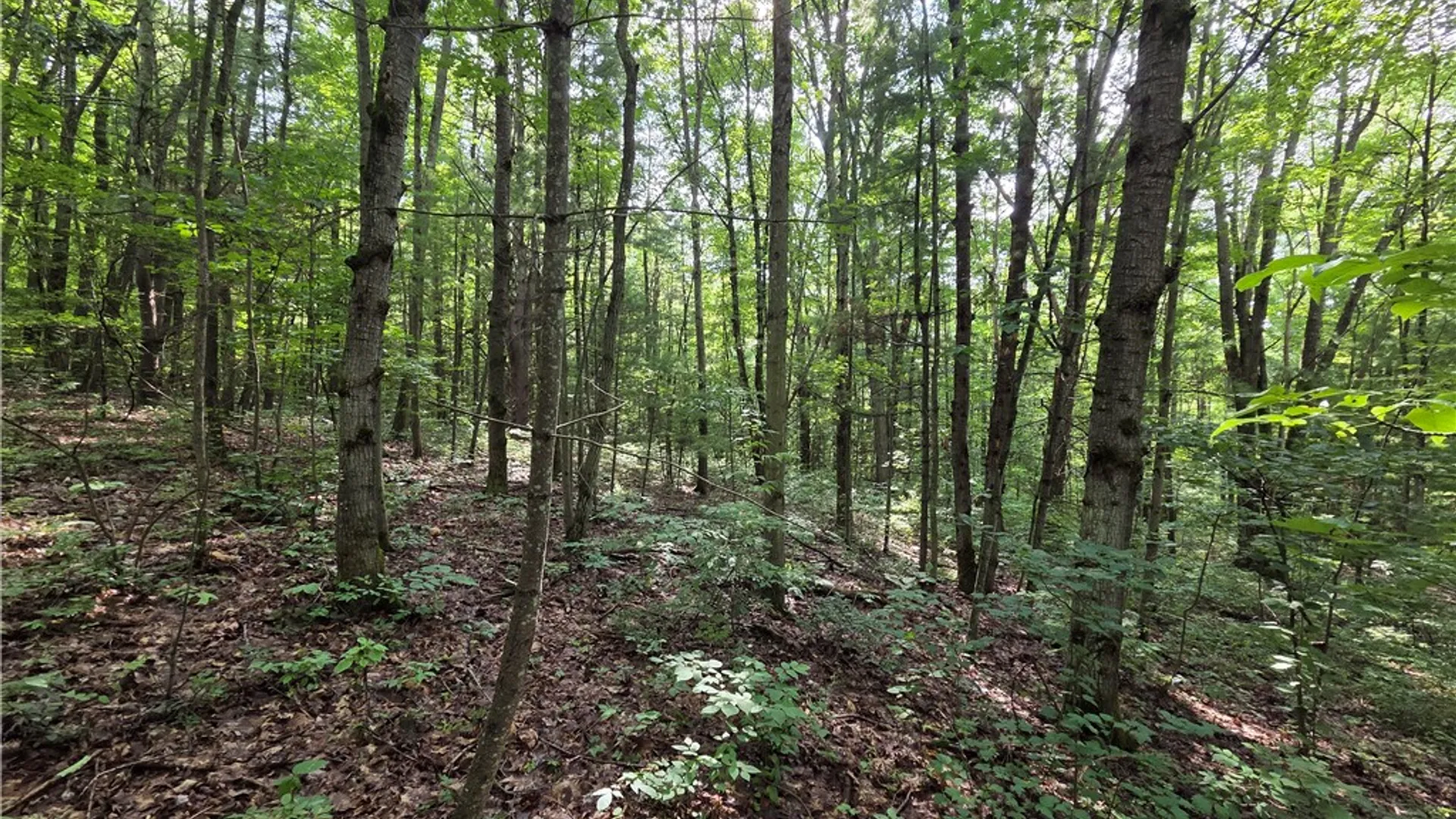 Property at Bunnell Road, Barton, NY 14892 43