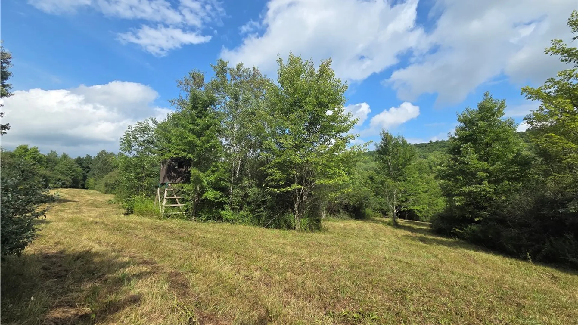 Property at Bunnell Road, Barton, NY 14892 33