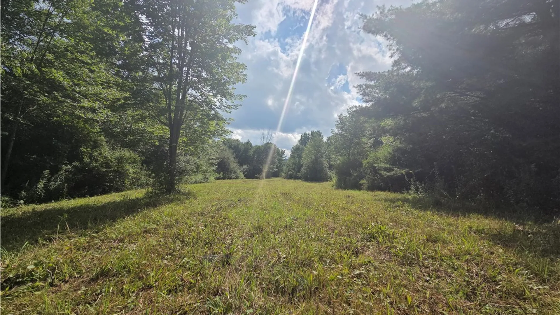 Property at Bunnell Road, Barton, NY 14892 38