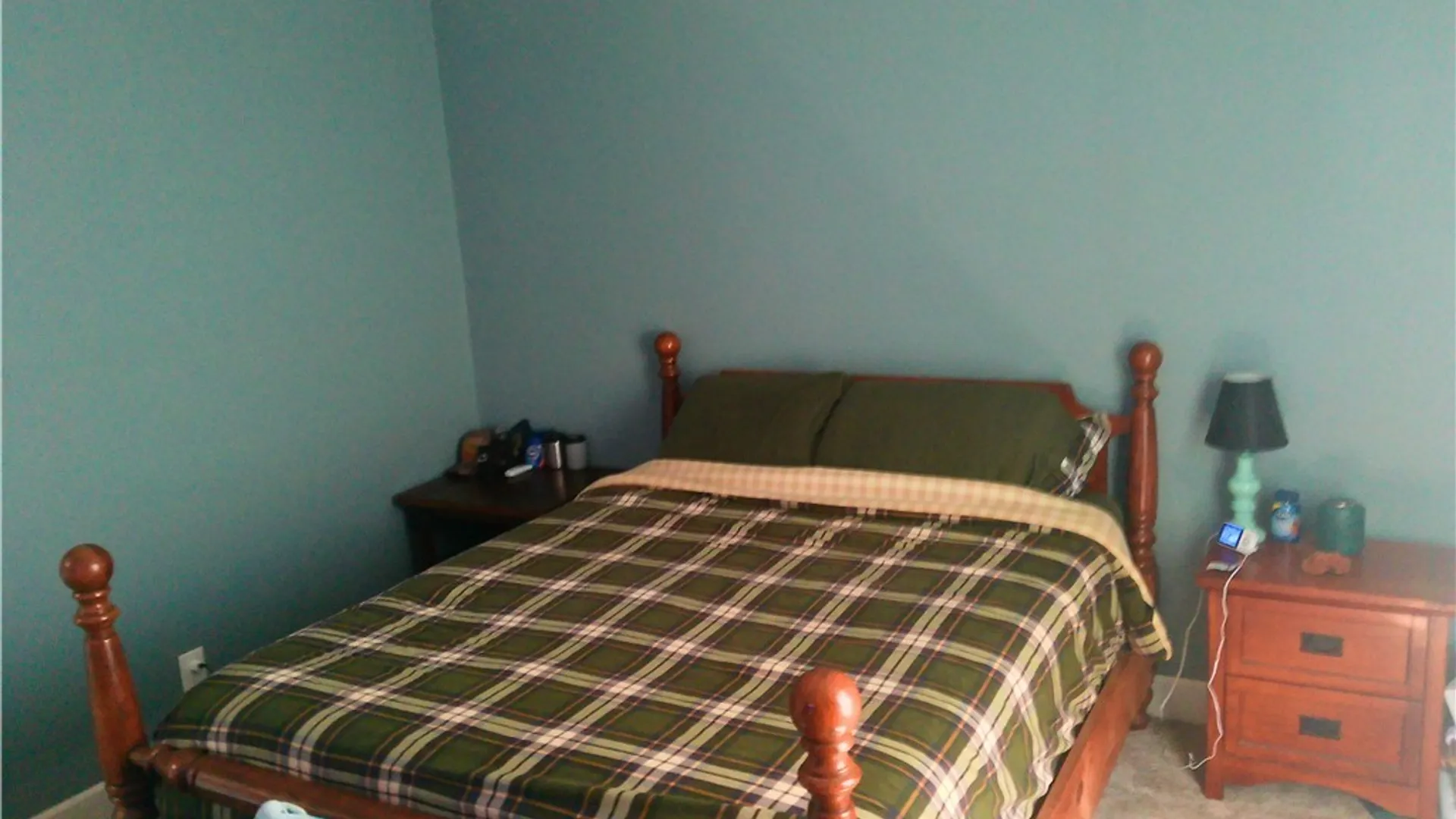 Property at 17 Chestnut Street, Belfast, NY 14711 27